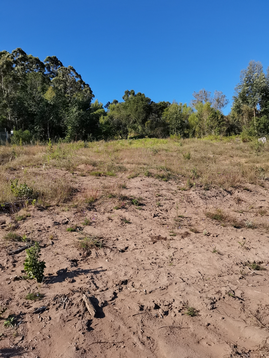 0 Bedroom Property for Sale in Simola Western Cape
